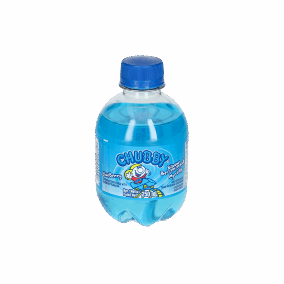 Chubby Blueberry 12x250ML.