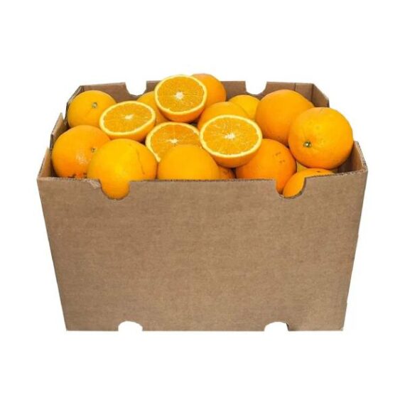 Pers Sinaasappel 15Kg