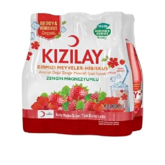 Kizilay Kirmizi Meyveler 24x200ml